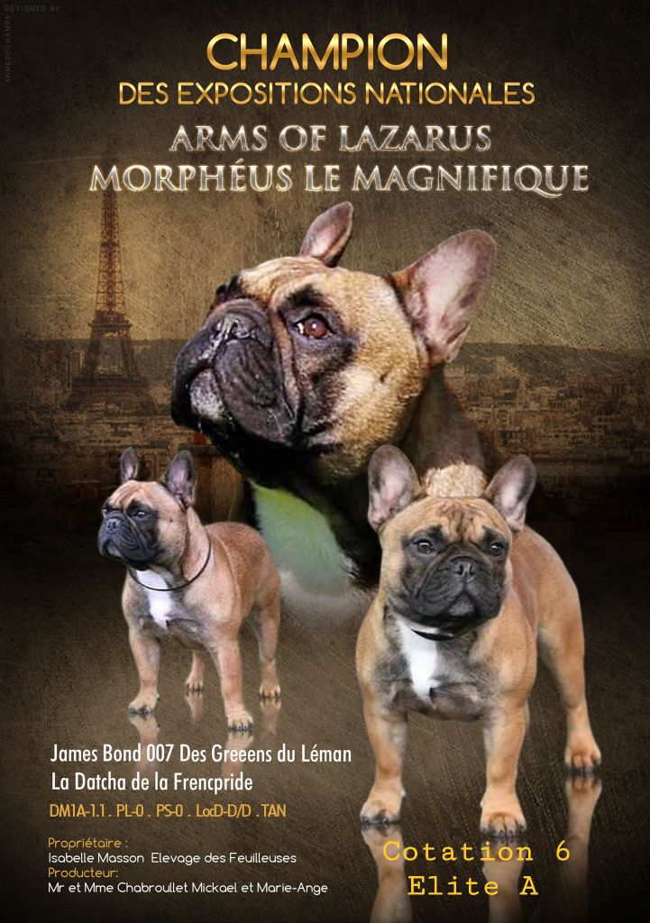 Arms Of Lazarus Morpheus le magnifique
